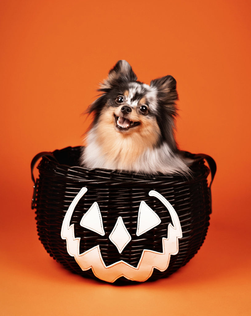 PRE-ORDER [SHIPS LATE OCT] Haunted Hallows Picnic Basket (Black)